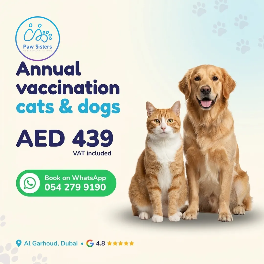 Annual vaccination offer for cats and dogs at Paw Sisters, AED 439 VAT included, Al Garhoud, Dubai