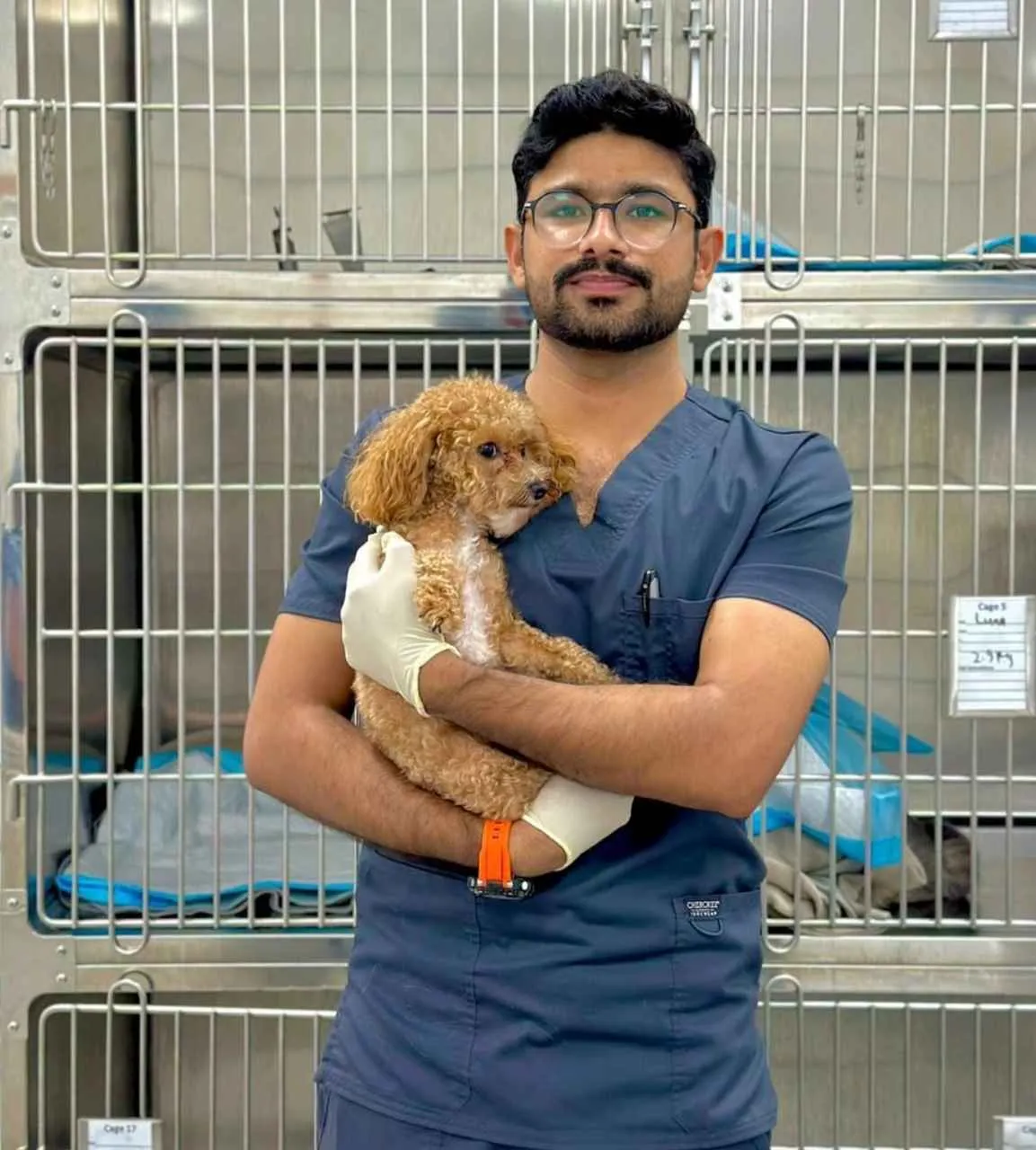 محمد دانش، فني بيطري مرخّص، فني بيطري مرخّص في عيادة Paw Sisters البيطرية
