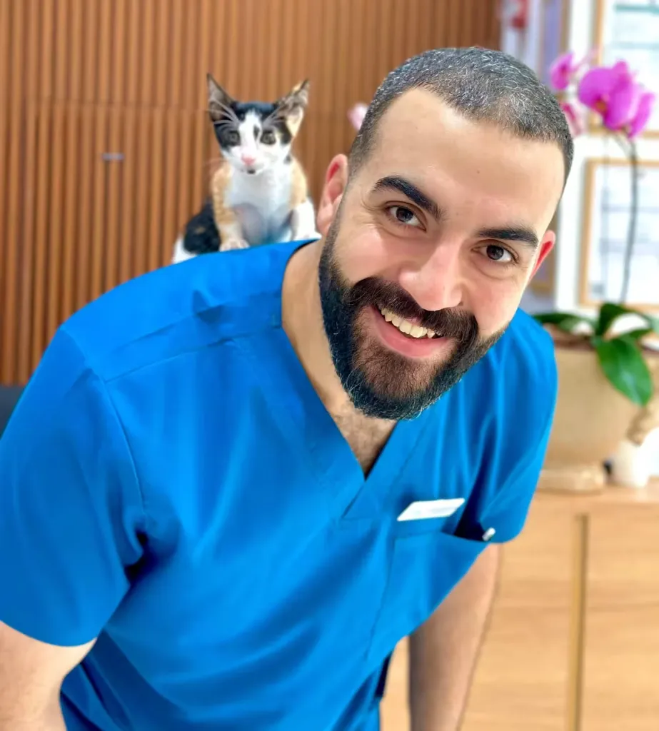 د. حسن الدهّاك، طبيب بيطري، الطبيب البيطري الرئيسي في عيادة Paw Sisters البيطرية