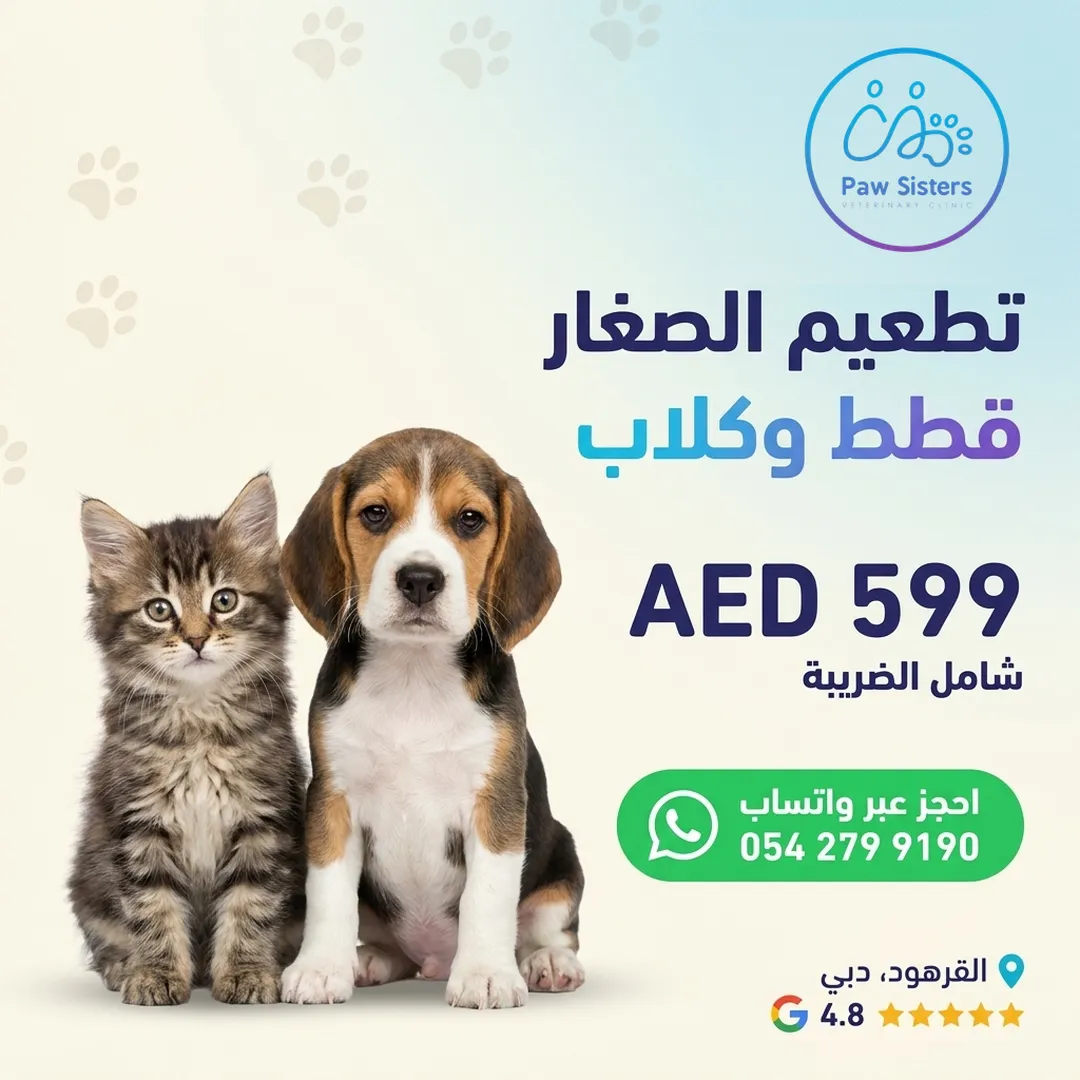 عرض تطعيم الجراء والهررة الصغار في Paw Sisters، 599 درهمًا شامل الضريبة، القرهود، دبي