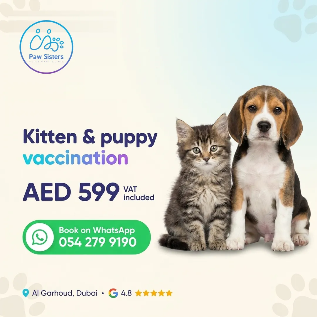 Kitten and puppy vaccination offer at Paw Sisters, AED 599 VAT included, Al Garhoud, Dubai