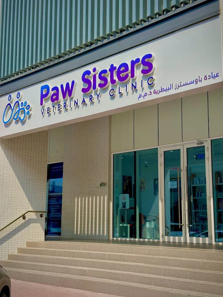Paw Sisters Veterinary Clinic storefront on 61B Street, Al Garhoud — the closest vet clinic to Deira, Dubai