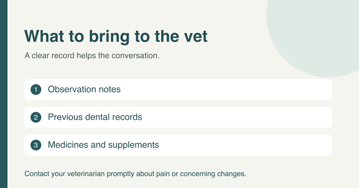 Cat dental comfort: Observation notes, Previous dental records, Medicines and supplements
