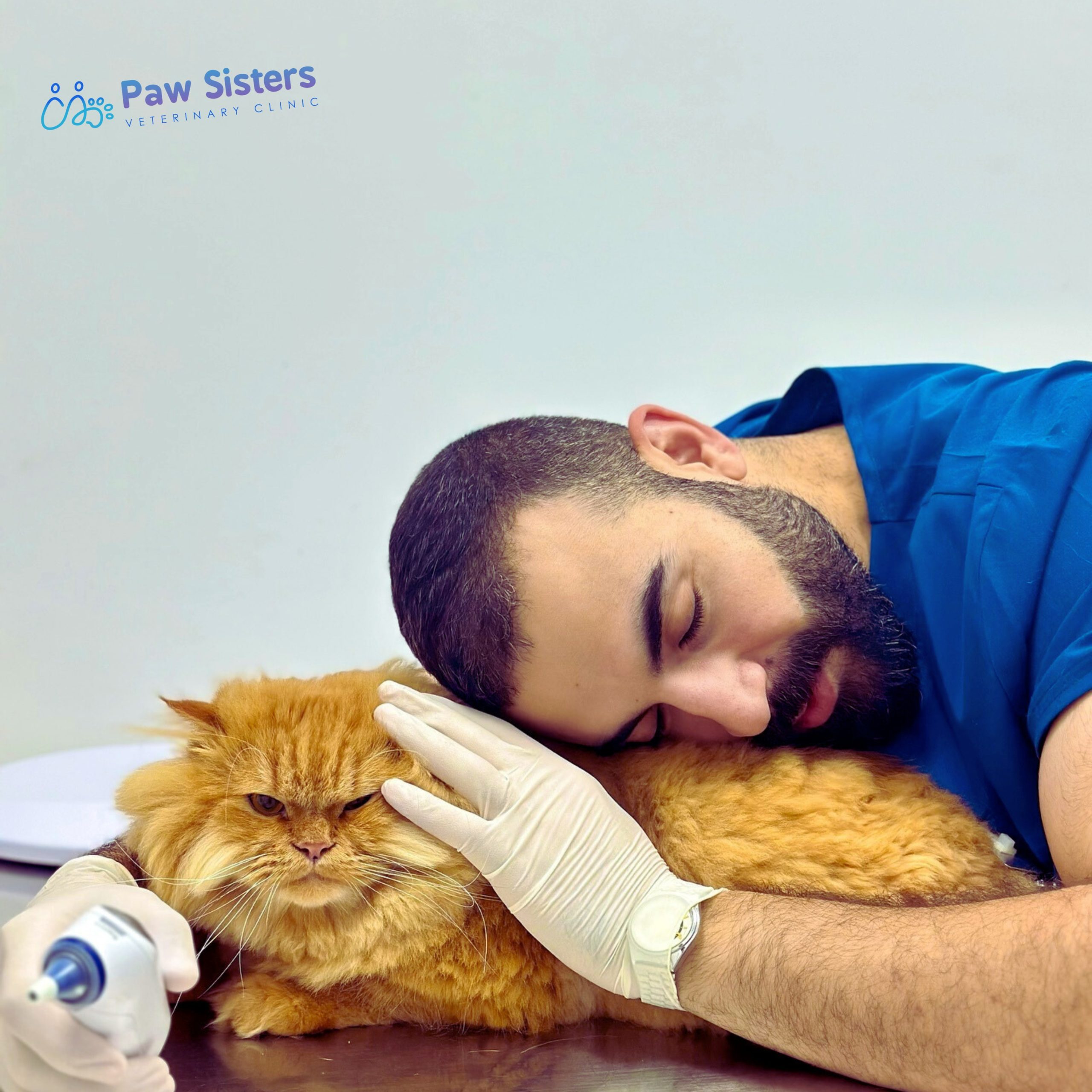 quality veterinary care