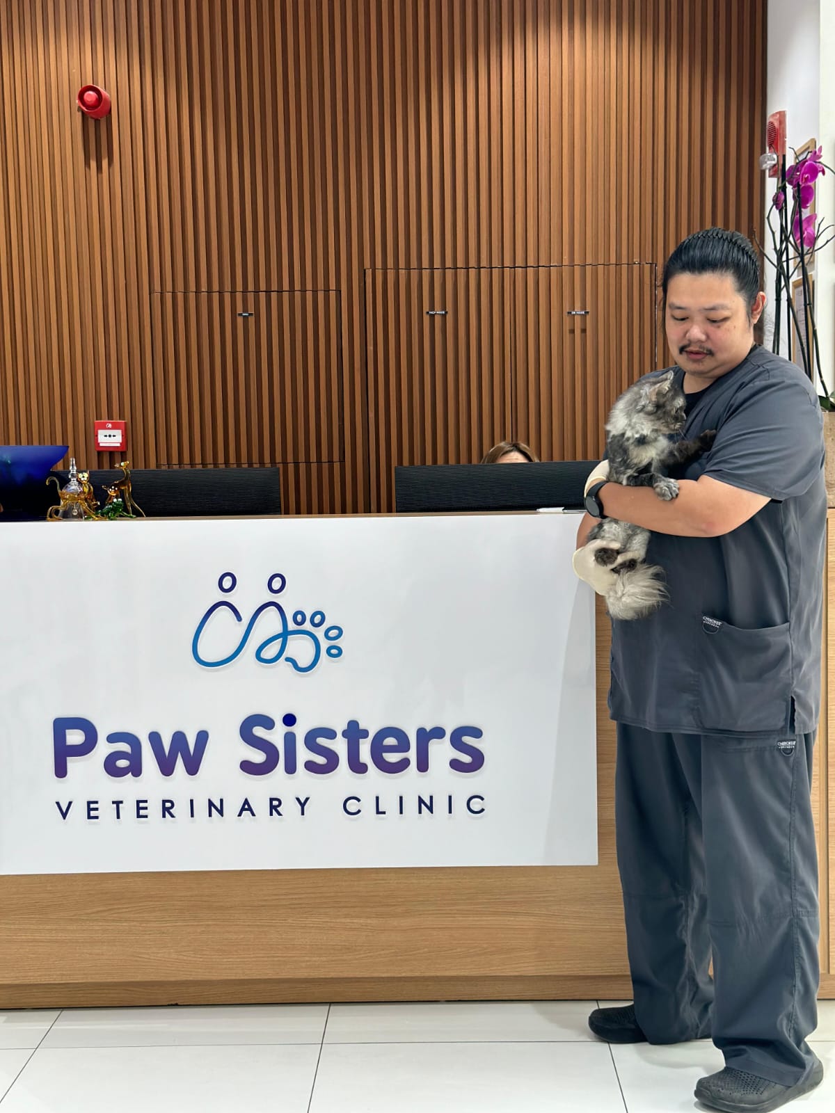 Paw Sisters team providing loving care to a sweet cat