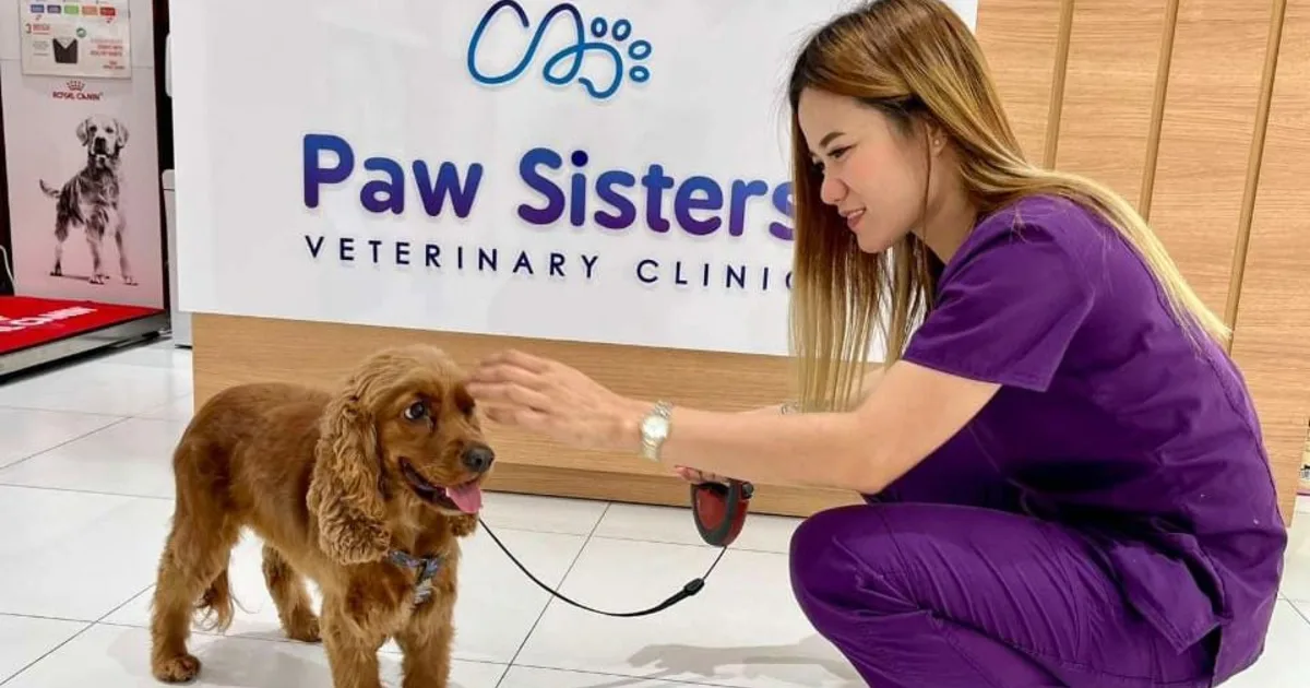 Veterinary team member greeting a leashed dog inside a Dubai clinic