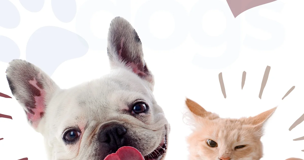 Dog and cat featured together in a pet dental health illustration