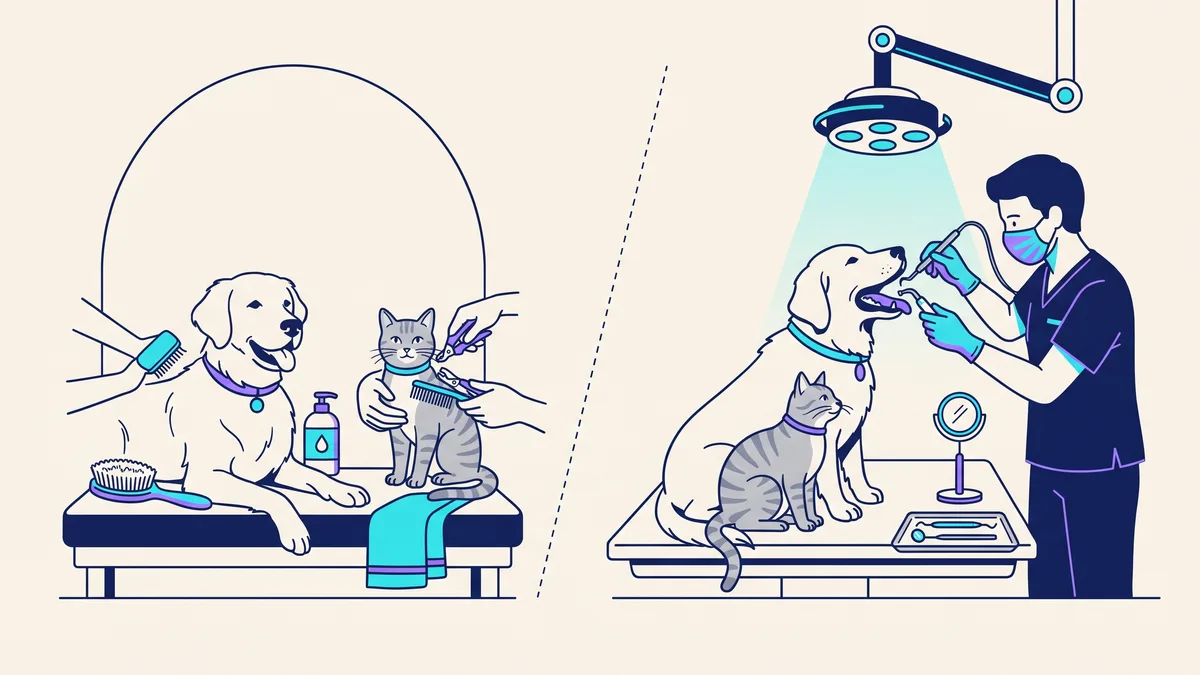Veterinary illustration explaining dental care is a separate veterinary service