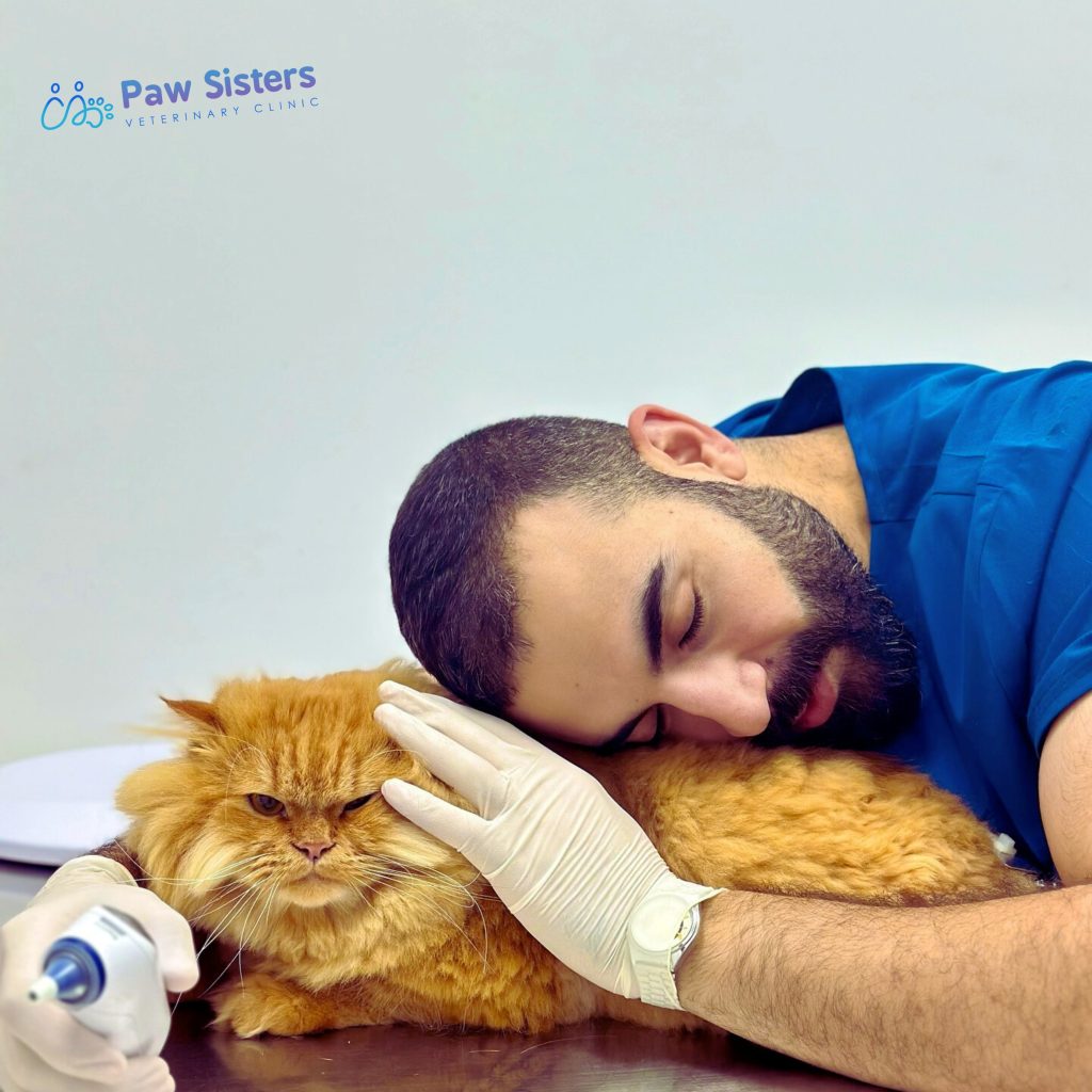 quality veterinary care