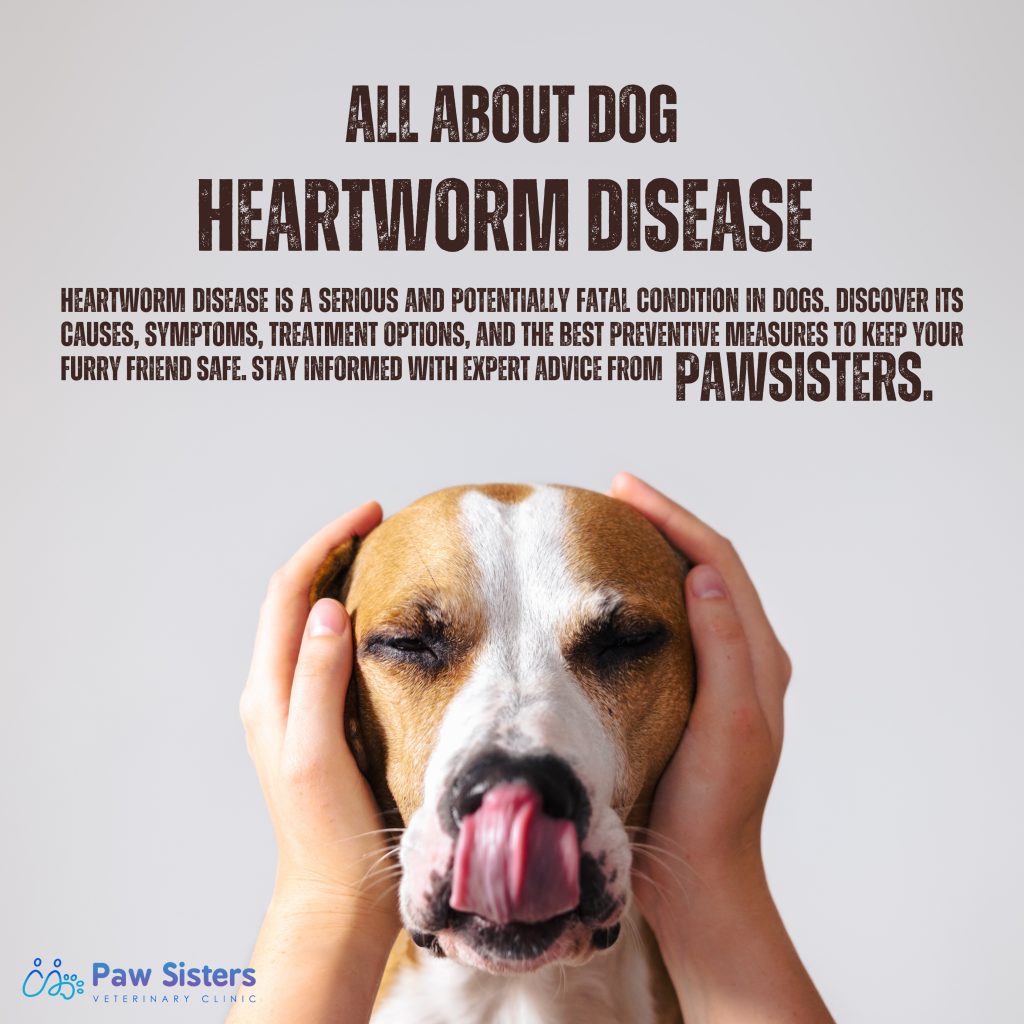 Dog Pet Shop Instagram Post