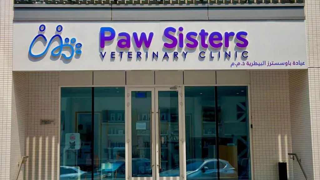 Vet Near Me Dubai: Paw Sisters in Al Garhoud